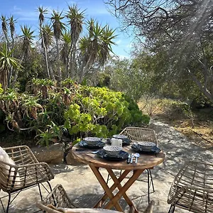 https://divers-house.hotels-in-mykonosisland.net